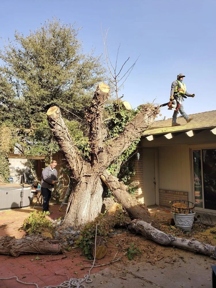 Reliable landscape installation in Midland, TX - JC Lawns & Landscaping