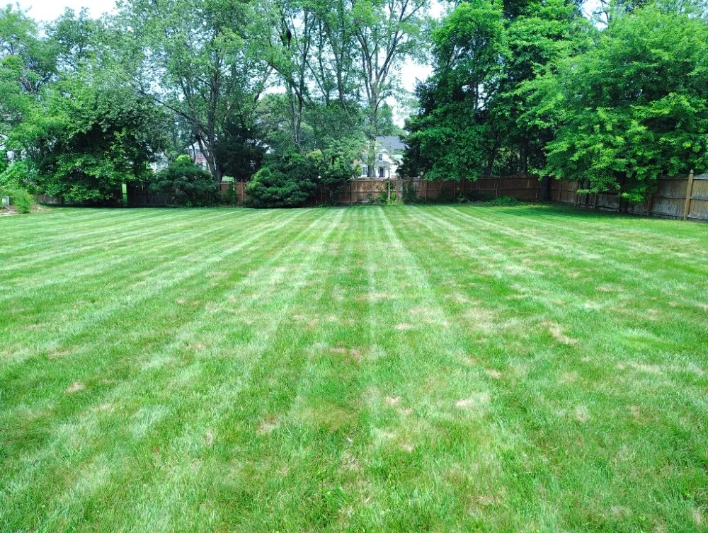 Reliable residential landscaping experts serving Jackson Township, NJ - JC Lawns