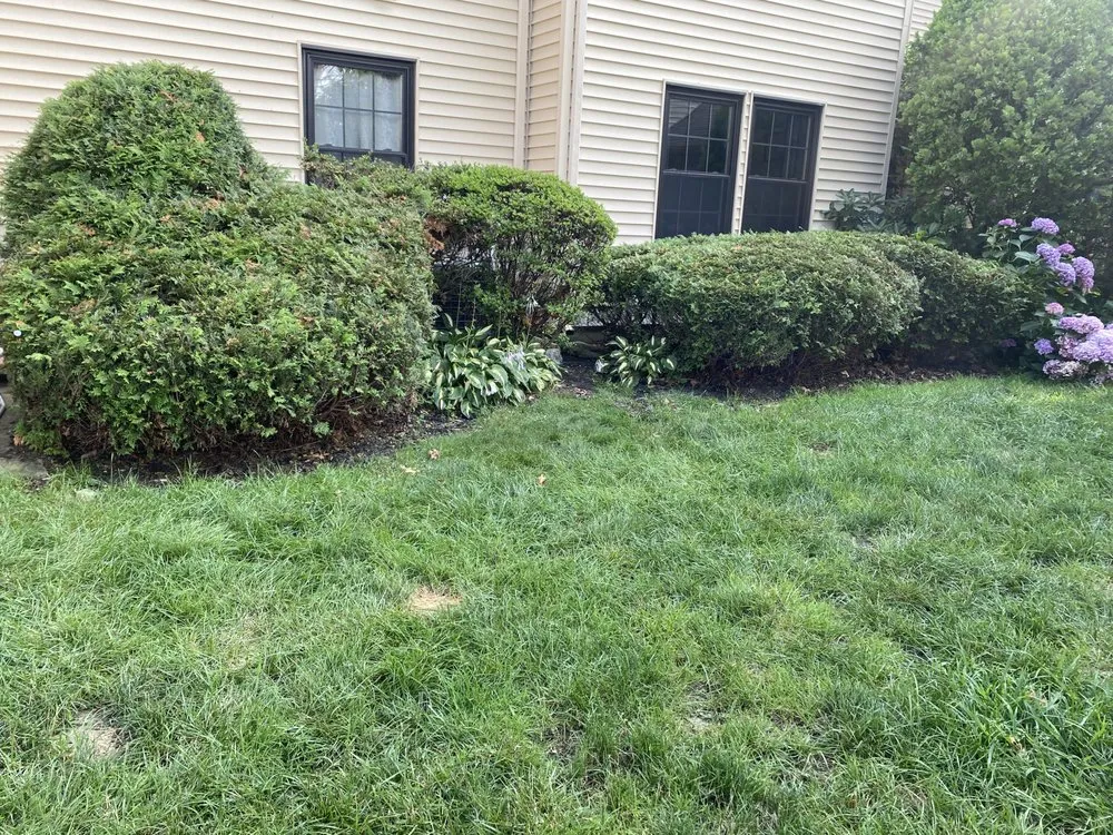 Professional landscape installation for beautiful yards across Jackson Township, NJ - JC Lawns