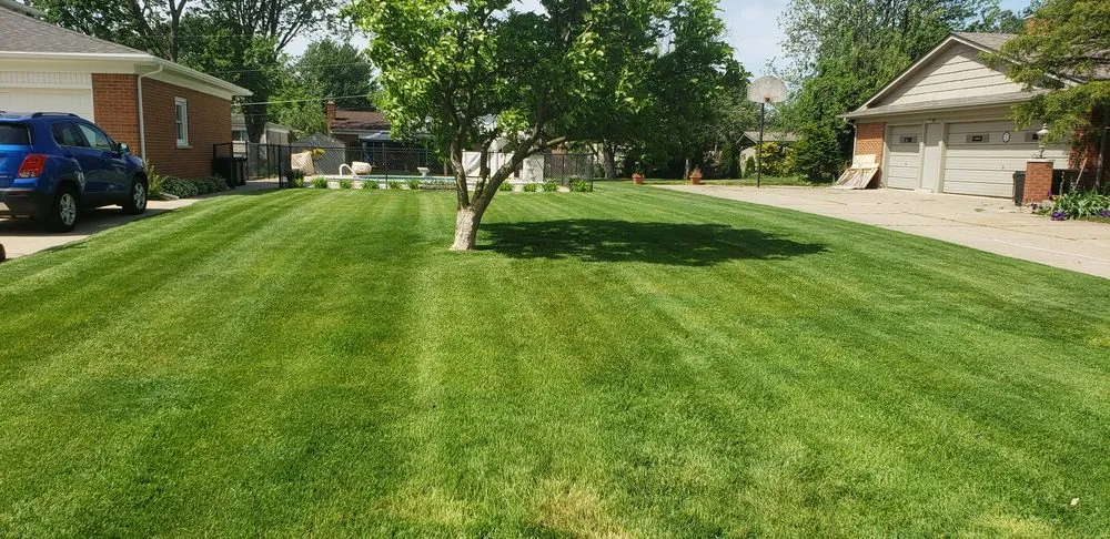 Professional yard cleanup service in New Baltimore, MI - JC Lawnscaping