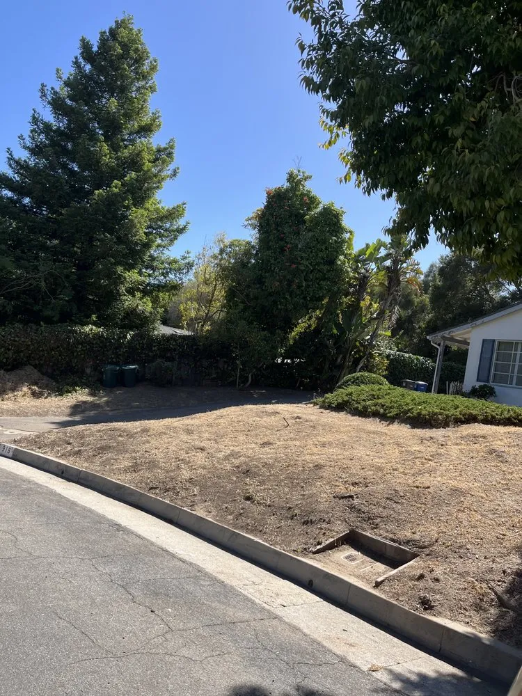 Professional landscape installation in Lompoc, CA by JC Mejia Landscaping and Maintenance