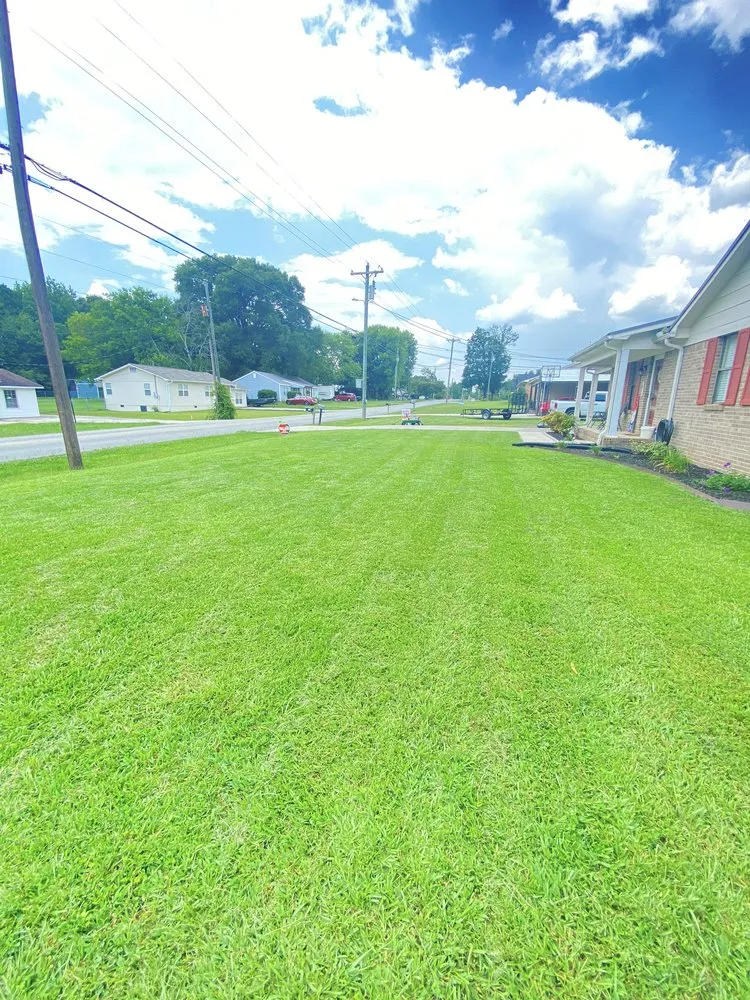 Top-rated yard maintenance experts serving Hartselle, AL - JC Mowing and Yard Services