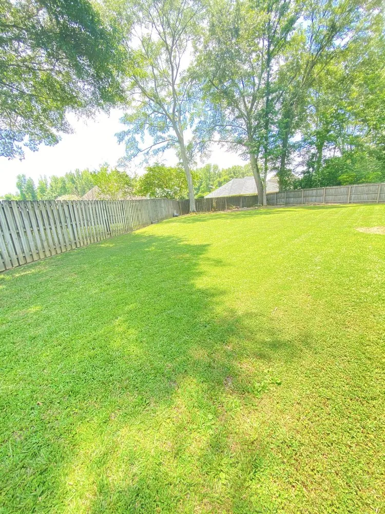 Custom landscape installation in Hartselle, AL - JC Mowing and Yard Services