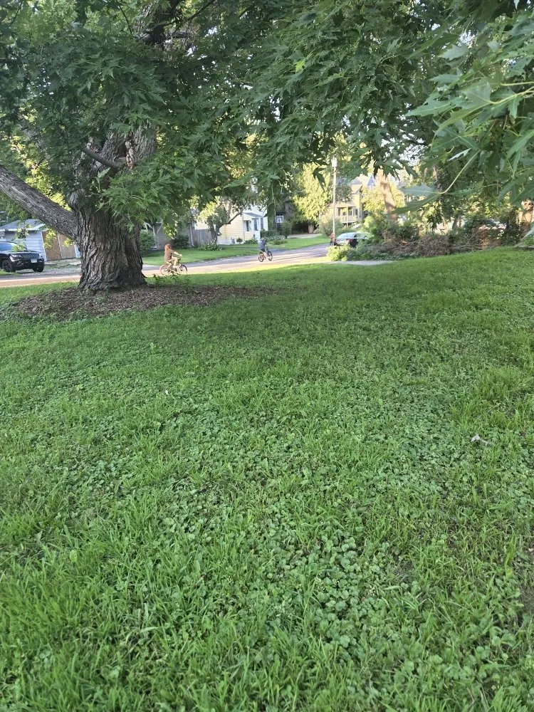Affordable garden landscaping in Stillwater, MN by Jc Mowing