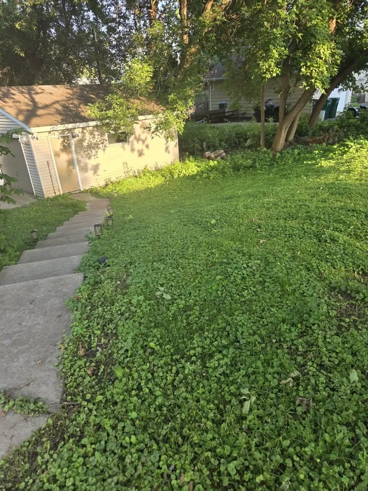 Affordable landscape installation for residential properties across Stillwater, MN - Jc Mowing