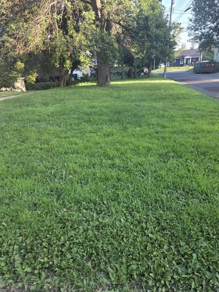 Professional yard cleanup service in Stillwater, MN - Jc Mowing