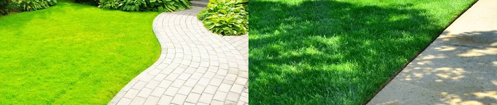Expert lawn care service in Kent, WA by JC Nelson Lawn Service