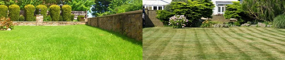 Top-rated outdoor landscaping in Kent, WA - JC Nelson Lawn Service