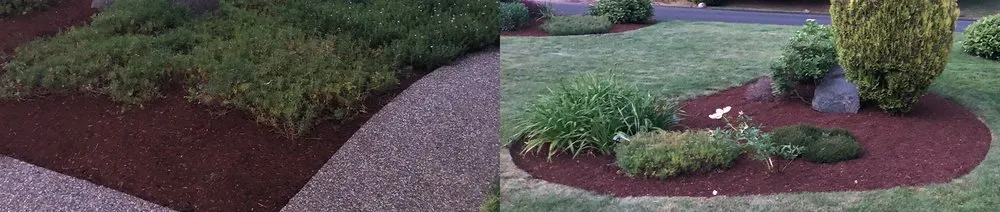 Expert outdoor landscaping in Kent, WA by JC Nelson Lawn Service