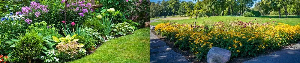Reliable landscape design experts serving Kent, WA - JC Nelson Lawn Service
