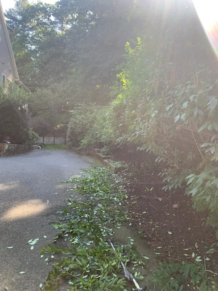 Custom outdoor landscaping for homes in Norwood, MA by JC Neto Landscape