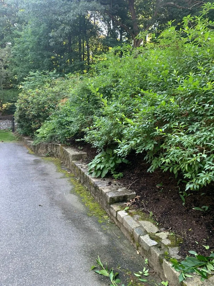 Top-rated landscape design for year-round maintenance across Norwood, MA - JC Neto Landscape
