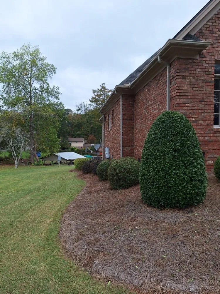 Local outdoor landscaping for year-round maintenance in Clayton, NC by JC Professional Lawn Care & Landscaping