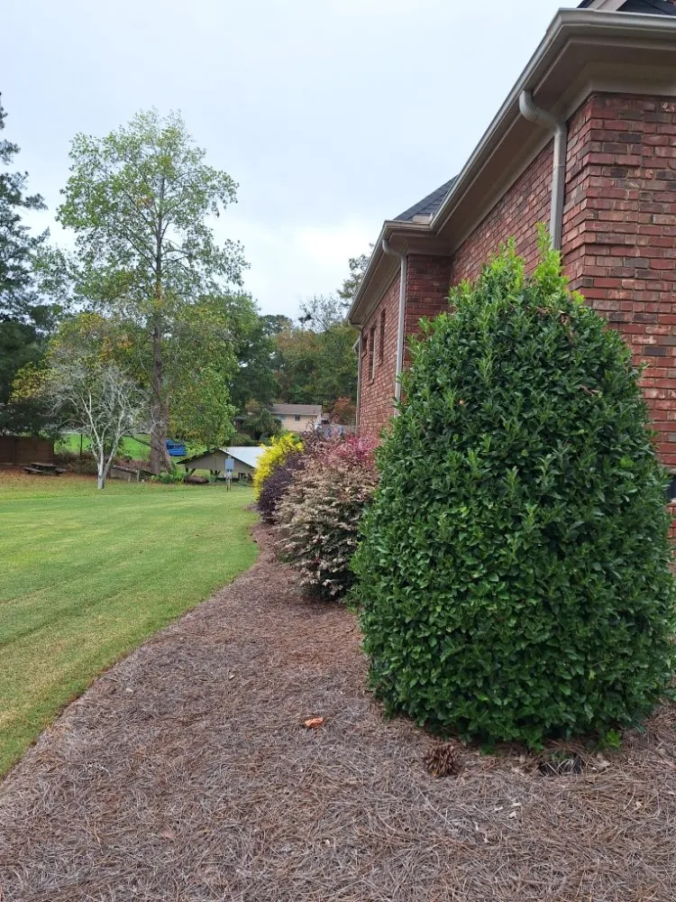 Reliable landscape design experts serving Clayton, NC - JC Professional Lawn Care & Landscaping