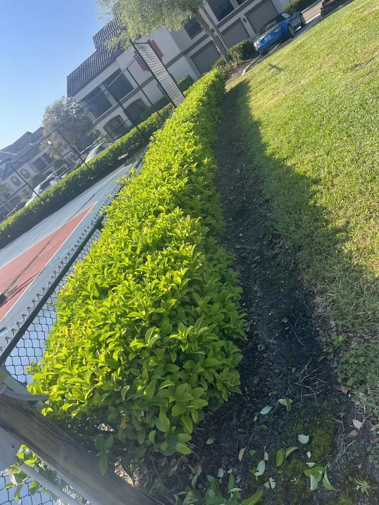 Reliable yard maintenance with custom design across New Port Richey, FL - J&C Property Maintenance