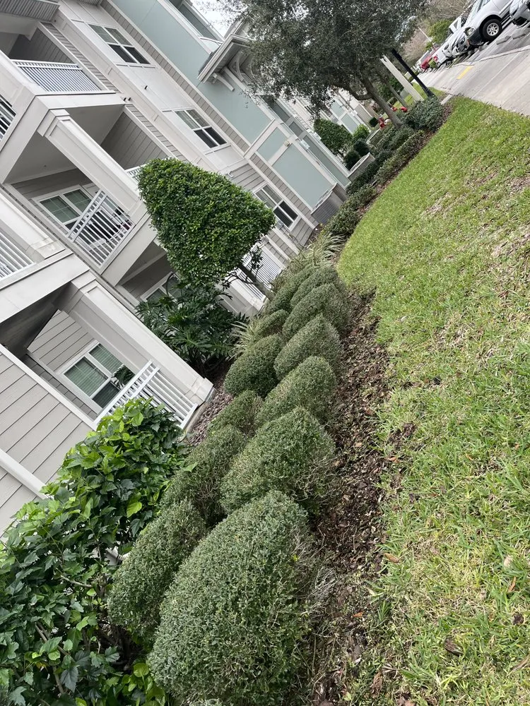 Professional garden landscaping for year-round maintenance across New Port Richey, FL - J&C Property Maintenance