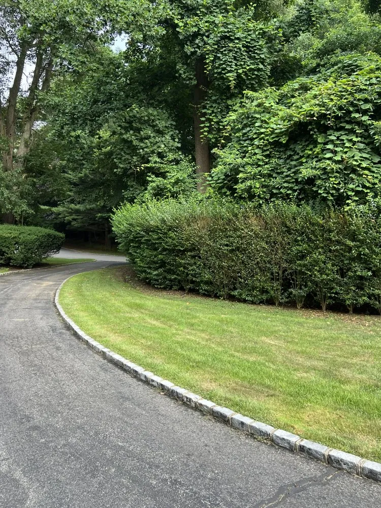 Local garden landscaping for homes across Brookhaven, NY - JC Property Management
