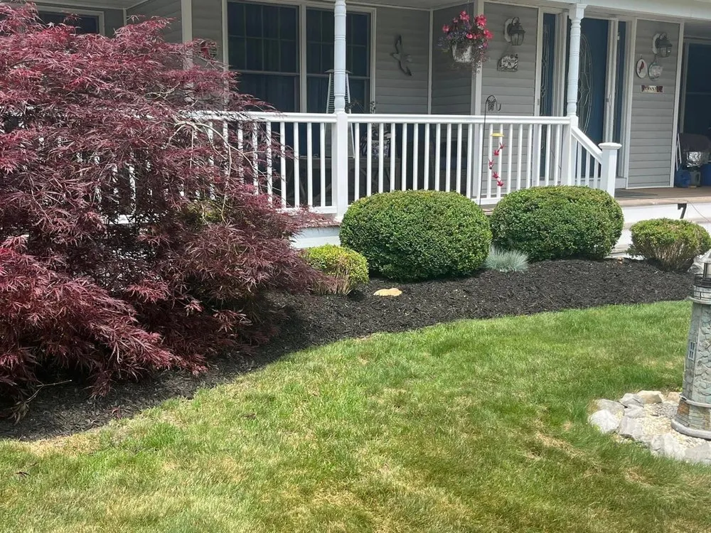 Trusted yard cleanup service in Brookhaven, NY - JC Property Management