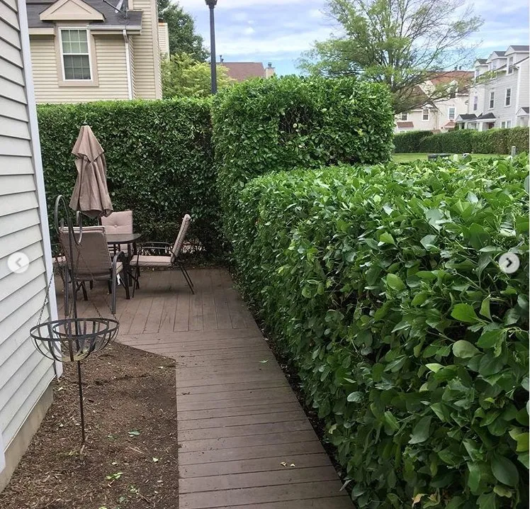 Local landscape design near you across Sully Station, VA - JC Residential Service
