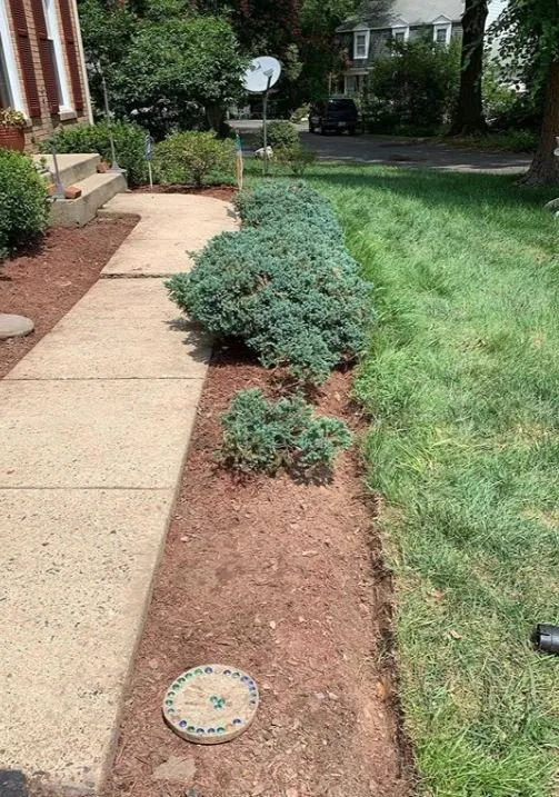 Expert landscaping services experts serving Sully Station, VA - JC Residential Service