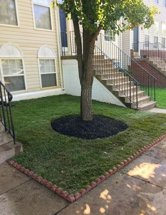 Expert landscaping services experts serving Sully Station, VA - JC Residential Service
