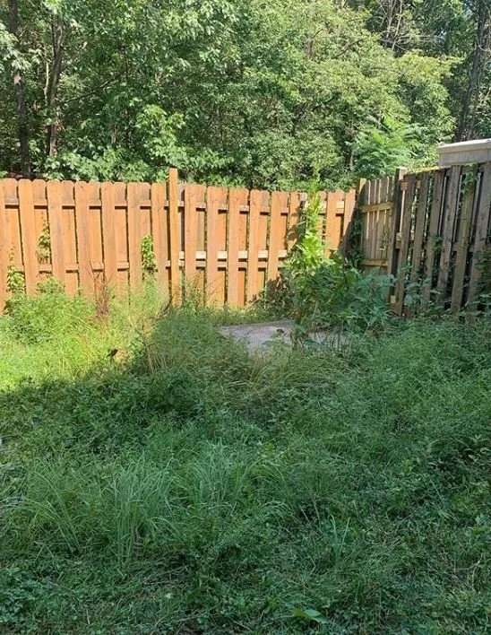 Reliable landscaping services for beautiful yards in Sully Station, VA by JC Residential Service