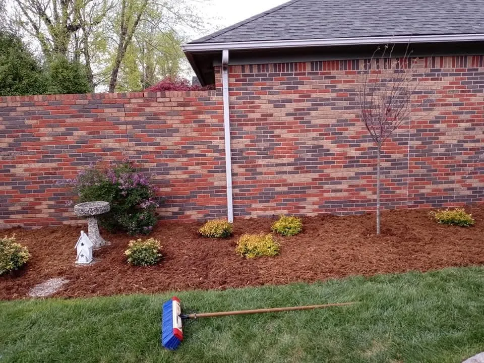 Reliable yard cleanup service in Louisville, KY - JC Revival Landscaping