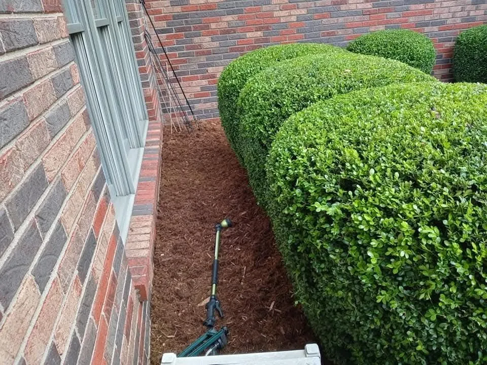 Local outdoor landscaping for residential properties across Louisville, KY - JC Revival Landscaping