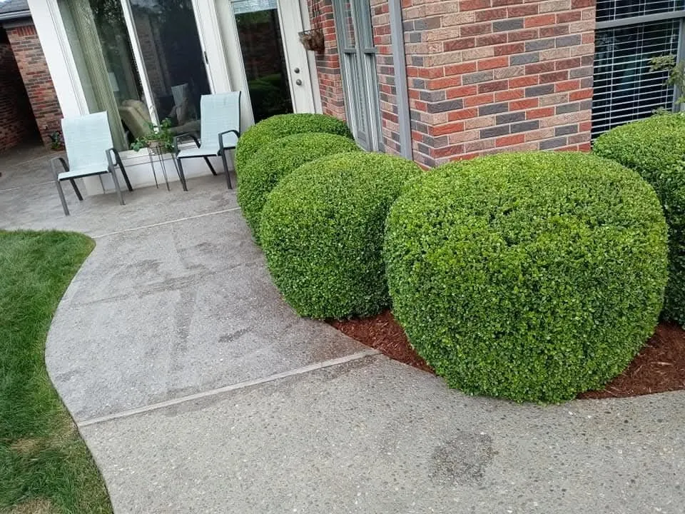 Top-rated yard maintenance experts serving Louisville, KY - JC Revival Landscaping
