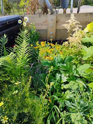 JC Revival Landscaping Logo