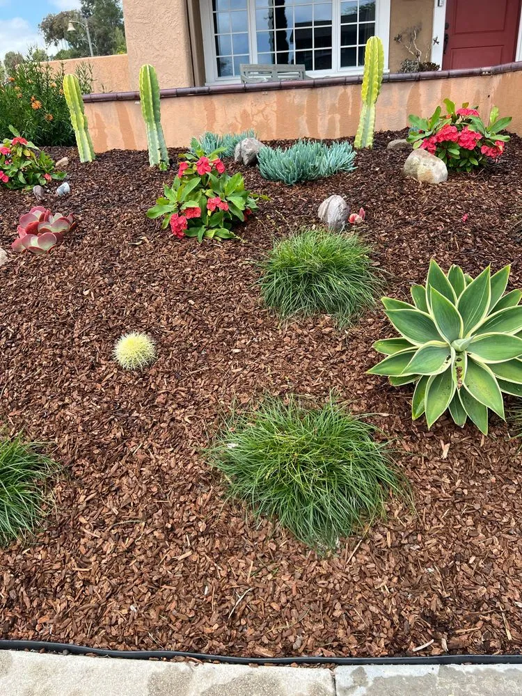 Expert yard maintenance experts serving Laguna Hills, CA - JC Scape