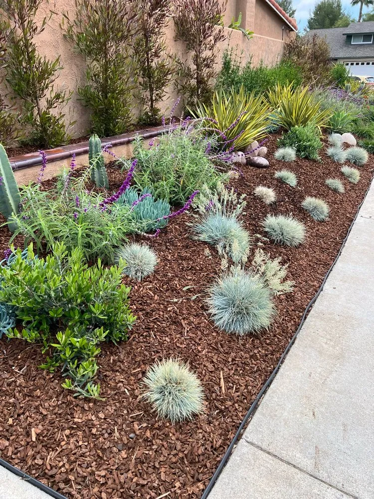 Trusted yard cleanup service in Laguna Hills, CA by JC Scape