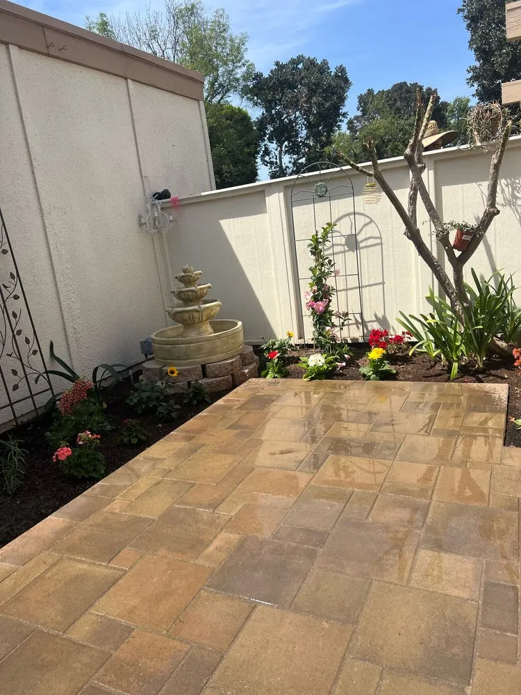 Local yard cleanup service for residential properties across Laguna Hills, CA - JC Scape