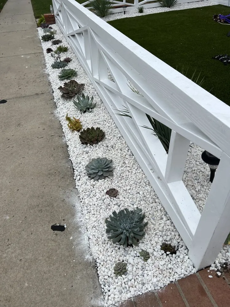 Trusted landscaping services in Laguna Hills, CA by JC Scape