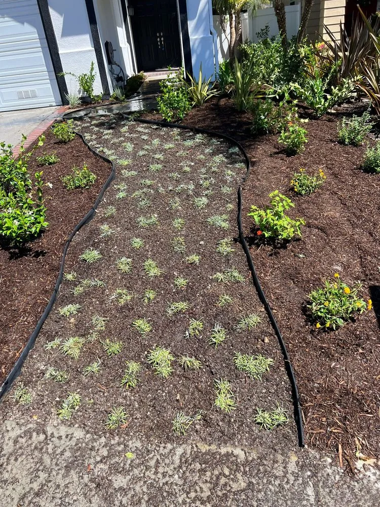 Affordable lawn care service experts serving Laguna Hills, CA - JC Scape