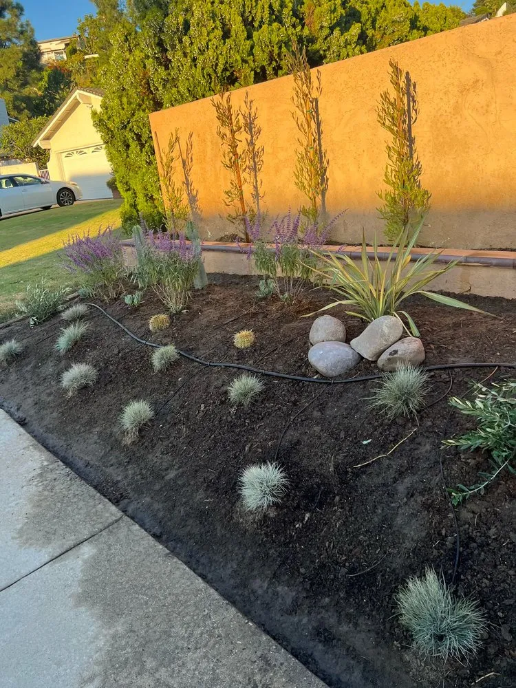 Top-rated landscape design in Laguna Hills, CA - JC Scape