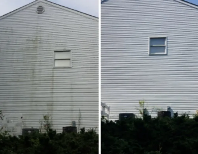 Local landscape installation in Savannah, GA by J&C Smith Enterprises