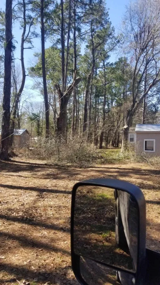 Professional yard cleanup service for residential properties across Franklinton, LA - J&C Tractor Services Plus