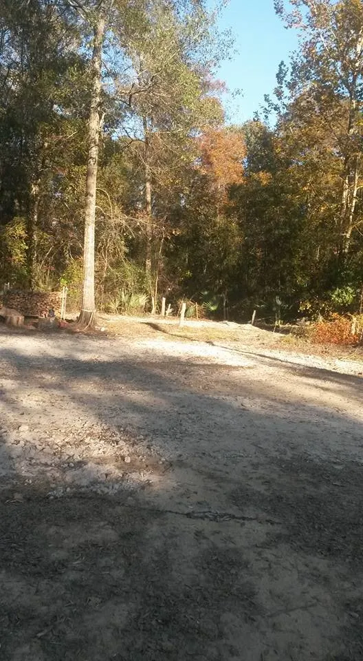 Trusted lawn mowing service in Franklinton, LA by J&C Tractor Services Plus