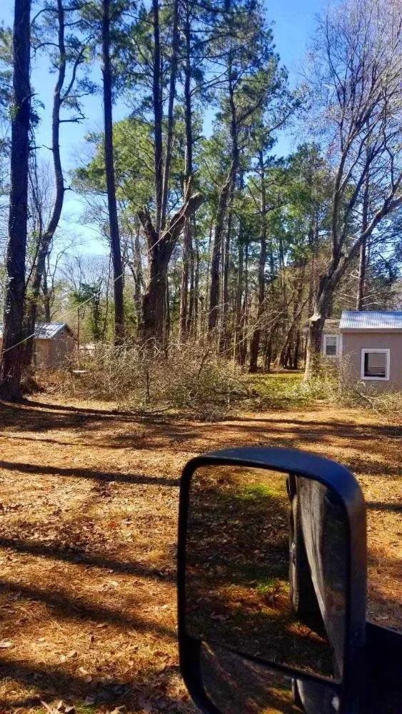 Top-rated landscape design in Franklinton, LA by J&C Tractor Services Plus