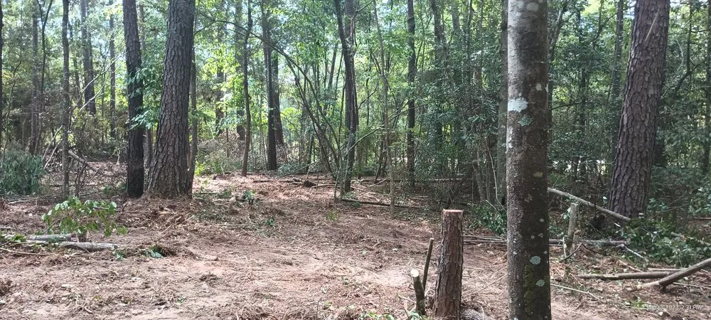 Affordable lawn care service for homes in Franklinton, LA by J&C Tractor Services Plus