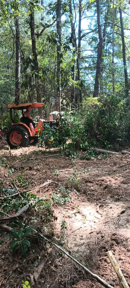 Trusted lawn care service for residential properties in Franklinton, LA by J&C Tractor Services Plus