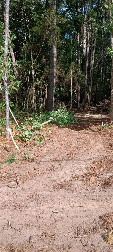 Top-rated lawn care service for beautiful yards across Franklinton, LA - J&C Tractor Services Plus