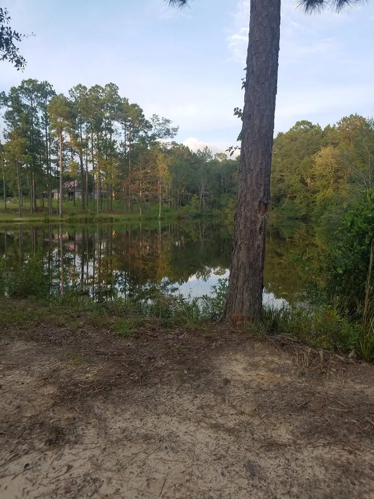 Affordable yard cleanup service in Franklinton, LA - J&C Tractor Services Plus