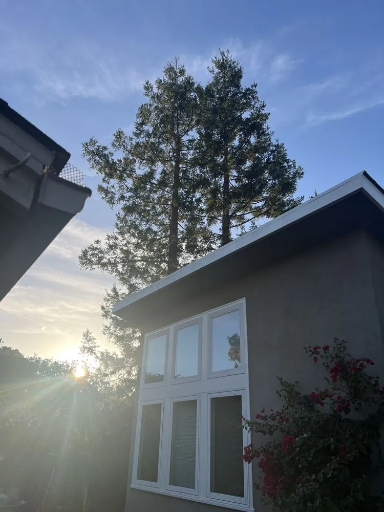 Expert lawn mowing service in Redwood City, CA - JC Tree Care & Landscape