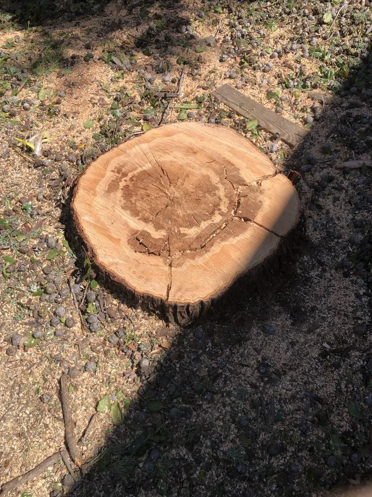 Reliable landscape installation for homes across Redwood City, CA - JC Tree Care & Landscape