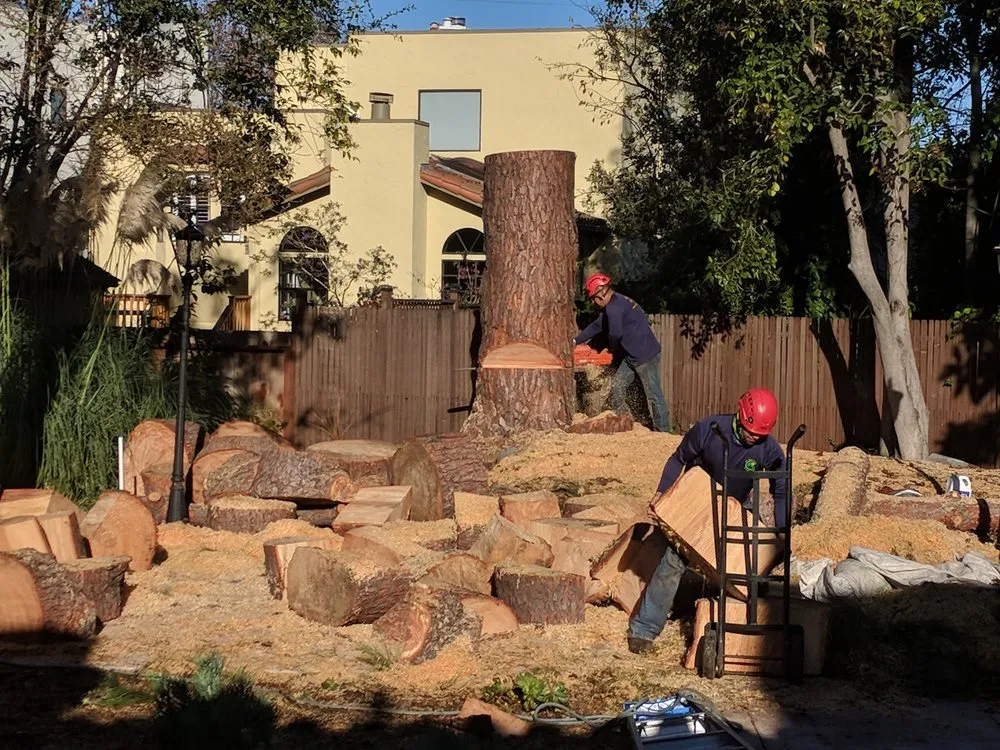 Custom lawn mowing service for year-round maintenance in Redwood City, CA by JC Tree Care & Landscape