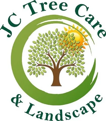 Professional lawn care service in Redwood City, CA - JC Tree Care & Landscape