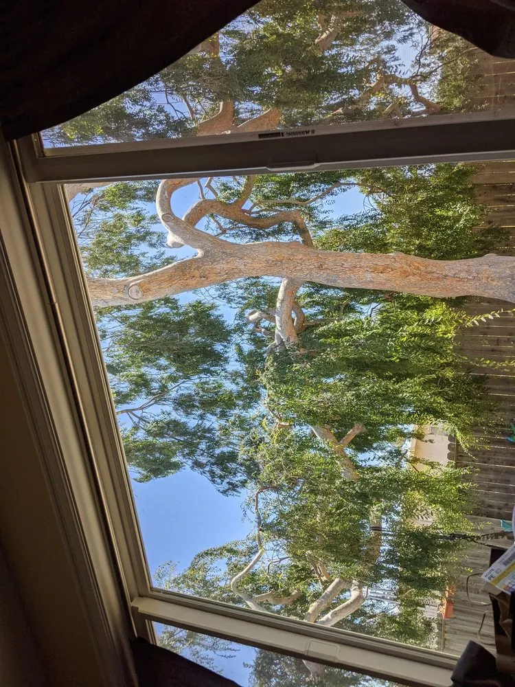 Reliable residential landscaping in Redwood City, CA - JC Tree Care & Landscape