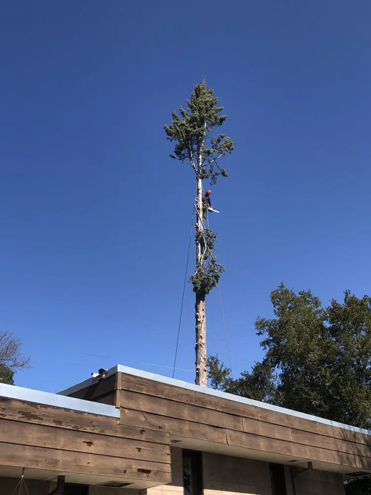 Custom garden landscaping in Redwood City, CA - JC Tree Care & Landscape